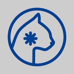 Spalvu kamolu veidošanās kontrole