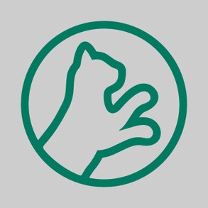 Vitalitāte un veiklība