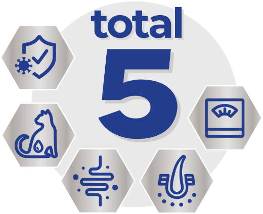 total 5